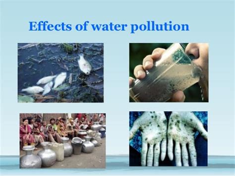 16 Water Pollution Facts Causes Effects Prevention And More