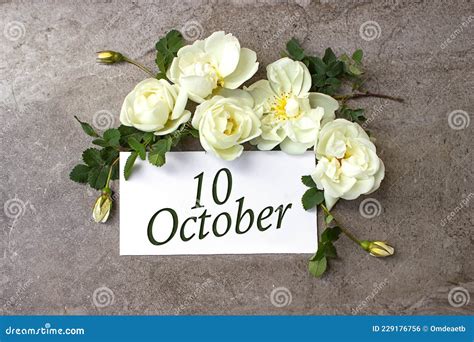 October 10th Day 10 Of Month Calendar Date White Roses Border On