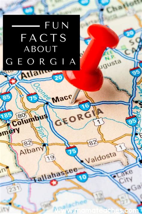 Fun Facts About Georgia For Kids Mama Teaches
