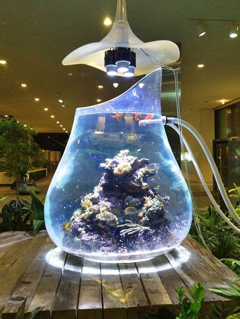 40 Super Cool Aquariums Ideas Fish Tank Cool Fish Tanks Aquarium Design
