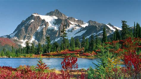 River Surrounded By Colorful Spring Flowers With Landscape View Of Snow