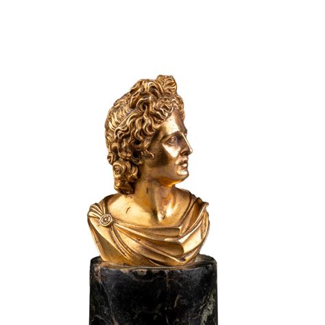 Buste de l Apollon du Belvédère XVIIIe siècle N