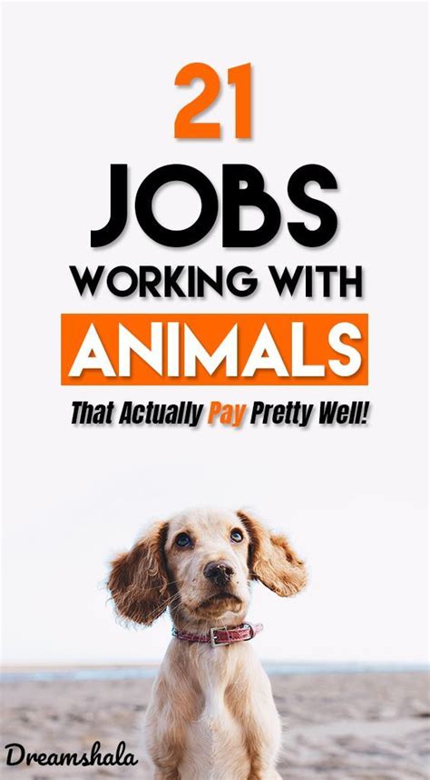 Animal Jobs Near Me No Experience - FANILAM