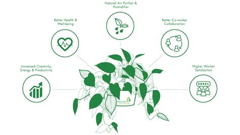 Livingplant Benefits Grabyourplant