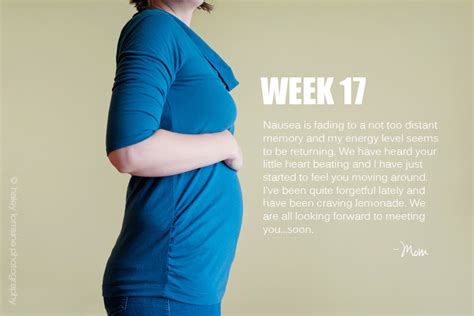 17 Weeks Pregnancy Series Haley Lorraine Photography