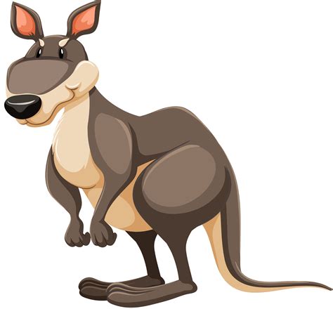 Kangaroo Png Clipart Free Logo Image