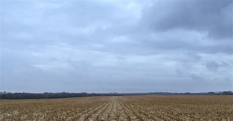 Nebraska Corn Kernels Nebraska Corn Harvest Nearly Complete