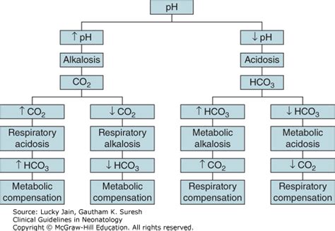 respiratory metabolic acidosis alkalosis chart a visual reference of charts chart master