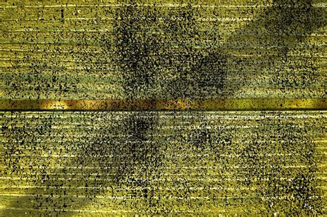 Download Ultra Yellow Grunge Wooden Surface For Design Mock-up Cracked Texture Or Dark Background Stock ...