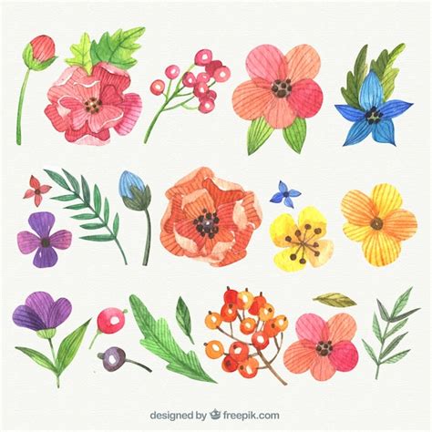 Free Vector Variety Of Hand Painted Flowers
