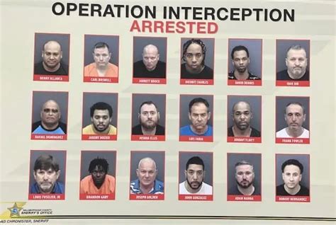 71 Arrested In Hillsborough County Human Trafficking Sting