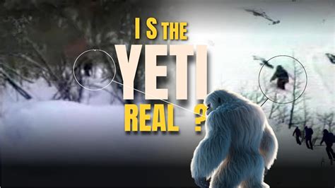 The Himalayan Mystery Is The Yeti Real Shocking Discoveries Revealed