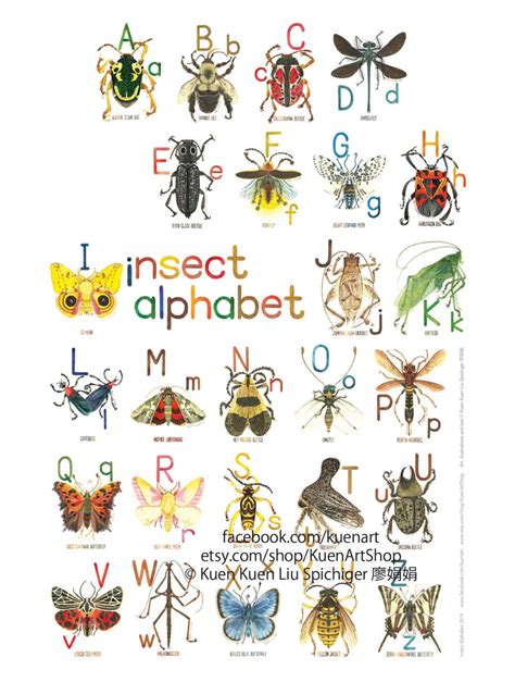 A Z Insect Alphabet Poster 8x10 Free Glow In Thedark Tattoos Etsy