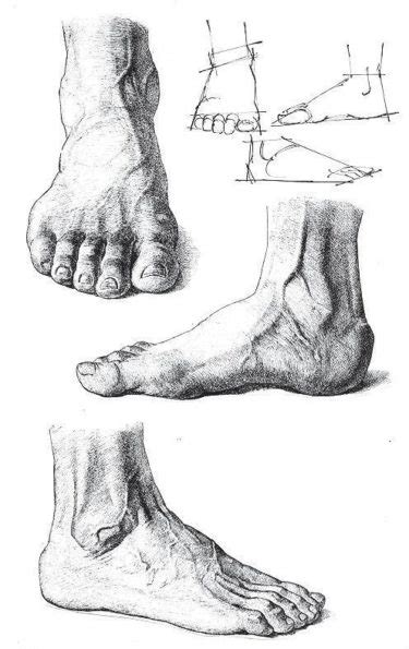 Cómo Aprender A Dibujar Pies Paso A Paso Imágenes Y Consejos Pies