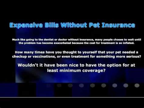 Aspca pet insurance provides injury and illness coverage for animals. ASPCA Pet Insurance Reviews - YouTube