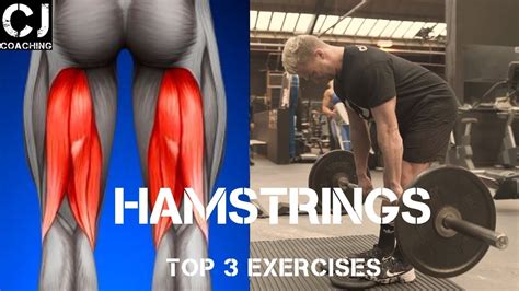 Top 10 Effective Hamstring Exercises For Bodybuilding