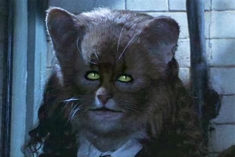 Hermione Cat