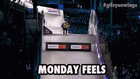 See more ideas about happy monday gif, quotes, happy quotes. Monday Feels GIF - Redbull Redbullgifs Monday - Discover ...