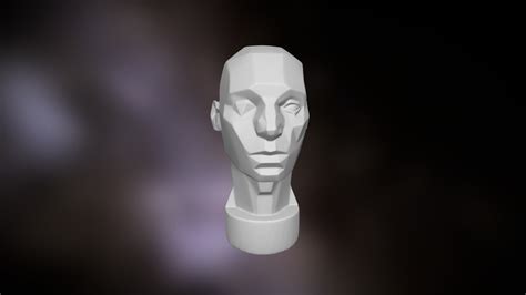 Asaro Planes Of The Head 3d Model