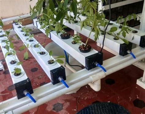 In a nutshell it is a system of pots. Sree Hydroponic NFT System, Size/Dimension: 2.5 X3, Rs ...