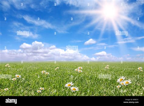 Serene Meadow In Spring With Happy Bright Sunshine Stock Photo Alamy
