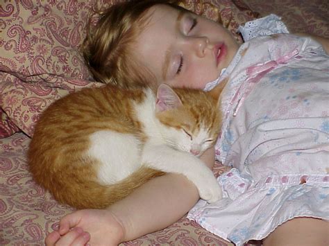 Skip drug description and prescription settings. Cat Allergies in Babies | eHow UK