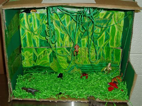 6th Grade Biome Project Samples Biomes Project Biomes Rainforest