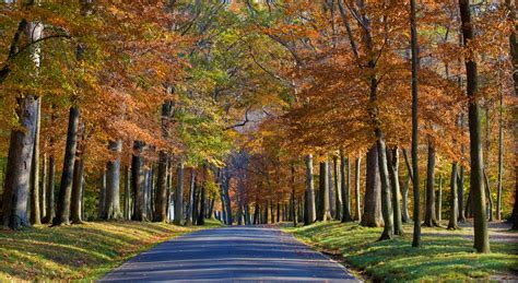 Best Times And Places To View Fall Foliage In Maryland 2017