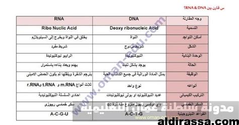 The integrity of rna is a major concern for gene expression studies and traditionally has been evaluated using the 28s to 18s rrna ratio, a method that has been shown to be inconsistent. جدول مقارنة بين DNA & RNA - المناهج العمانية