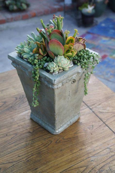 From Simply Succulent Container Gardening Pinterest Gardens