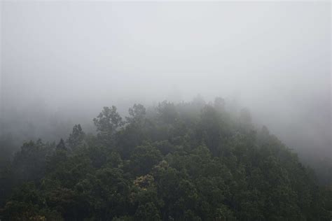 3840x2560 Fog Foggy Forest Mountain 4k Wallpaper Coolwallpapersme