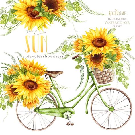 Download Sunflower Watercolor Flower clipart, vintage, bicycle ...