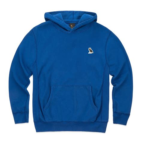 Blue pullover hoodie, security hacker vulnerability password, hacker, blue, computer network png. OWL PATCH HOODIE - ROYAL BLUE (With images) | Hoodies ...