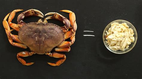 How To Crack A Crab Open