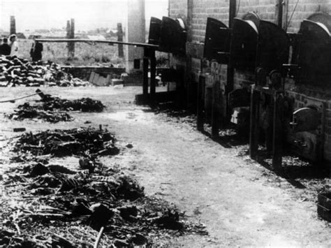 Vol 7 no 2 (2020): Giorno della Memoria: le foto storiche del campo di ...