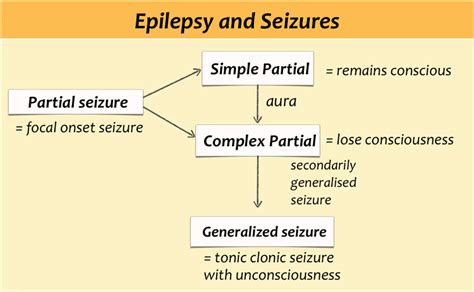 Epilepsy Epilepsy Seizure Seizures