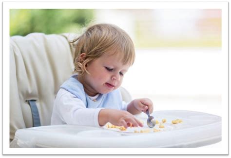 Baby Led Weaning O Alimentación Complementaria Dirigida Por El Bebé