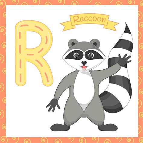 Premium Vector Illustration Of Isolated Animal Alphabet R Raccoon