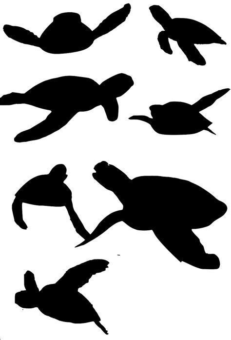 Get Free Svg Turtle PNG Free SVG files | Silhouette and Cricut Cutting