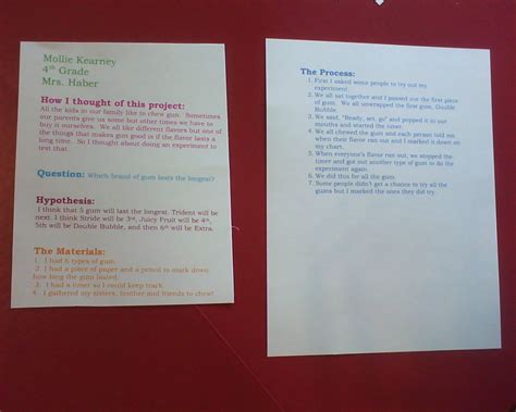 It gave me a better definition of what a bubble is and extended my knowledge of how to observe and complete a science project. Science Fair Project: Which Chewing Gum Lasts the Longest ...