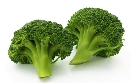 To avoid choking hazards for dogs, you must cut it in small pieces. Can Dogs Eat Broccoli? - Can Dogs Eat This