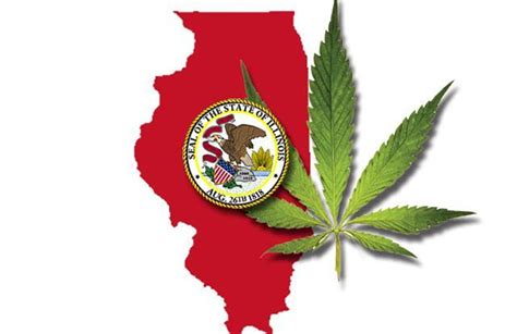 Prospective medical marijuana recipients in the state of illinois must apply online for acceptance. Does Medical Marijuana Hold a Purpose in Illinois ...