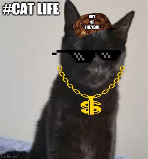 Gangsta Kitty Imgflip