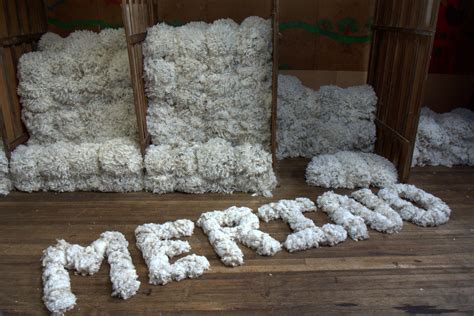 Tasmanian Superfine Merino Fleece Australian Wool Baregamerino