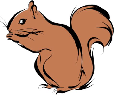 Download Transparent Background Squirrel Clipart Png 5560108