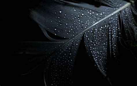 38 Best Black Wallpapers From Around the World