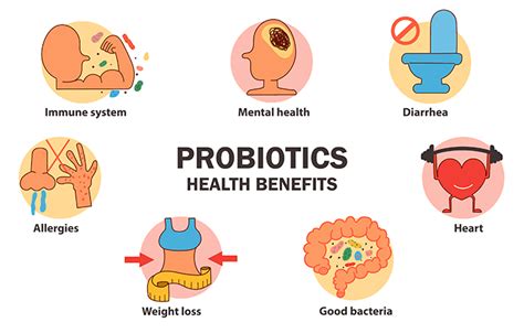 The Microbiome And Health Probiotics Are Good For Your Gut