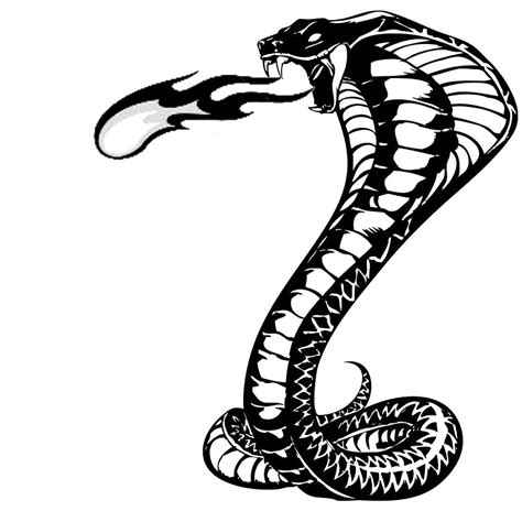 Cobra Snake Clipart Black And White Clip Art Library