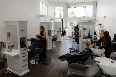 Hair — Fox and the Hair