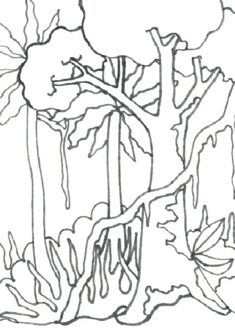 A green forest landscape with trees. Rainforest Trees Drawing at GetDrawings | Free download